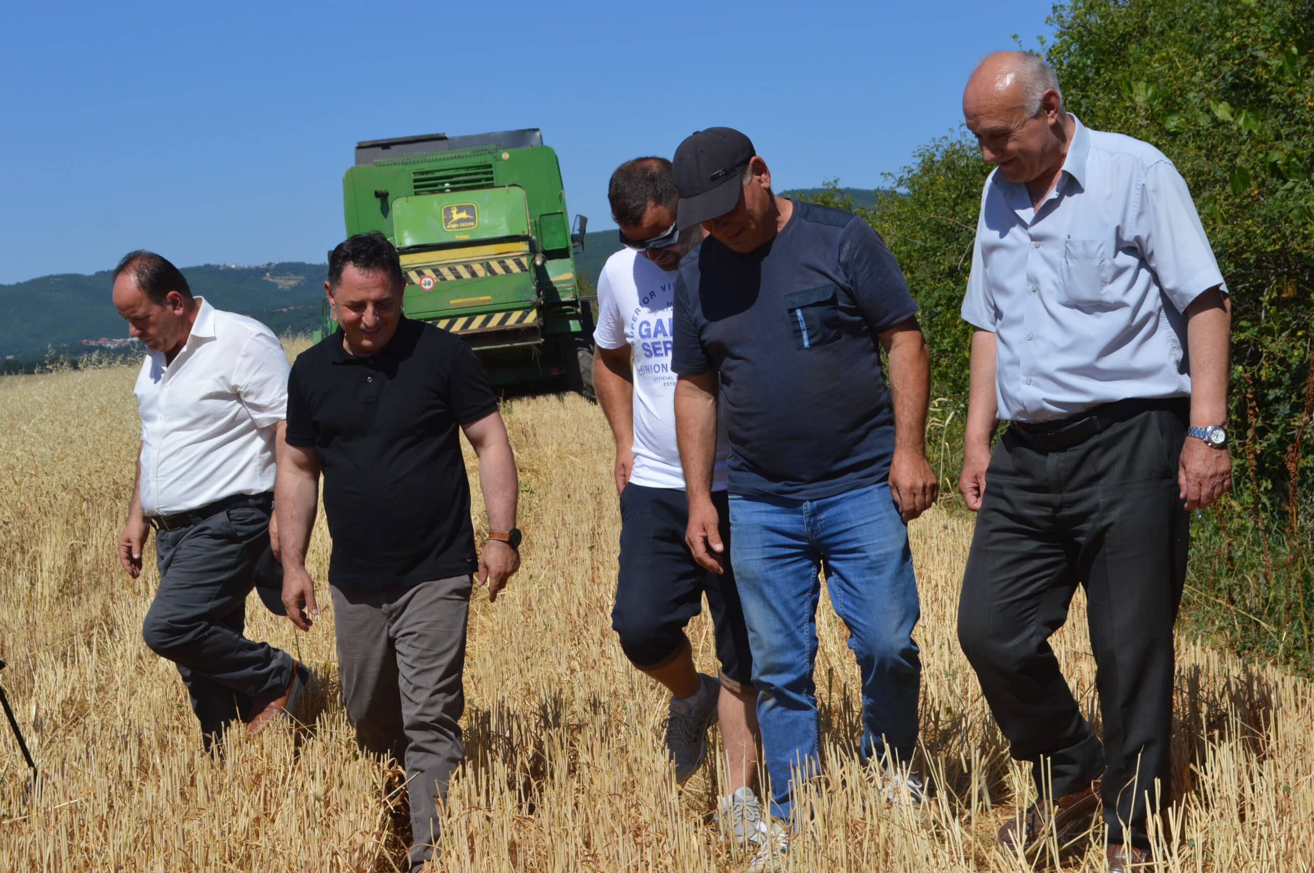 Ka filluar korrja e grurit në Malishevë-rendimentet të kënaqshme